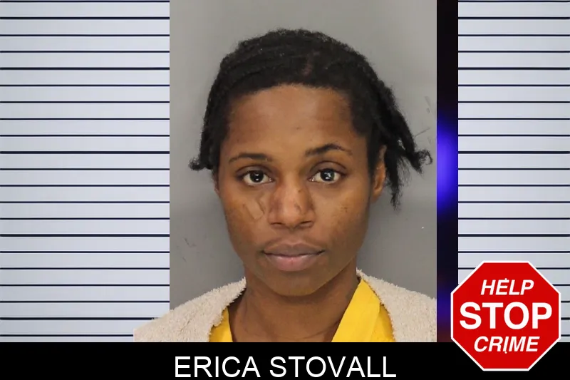 Erica Stovall mugshot
