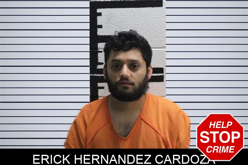 Erick Hernandez Cardoza