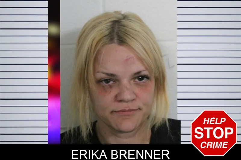 Erika Brenner mugshot – Floyd County , Georgia Erika Brenner mugshot