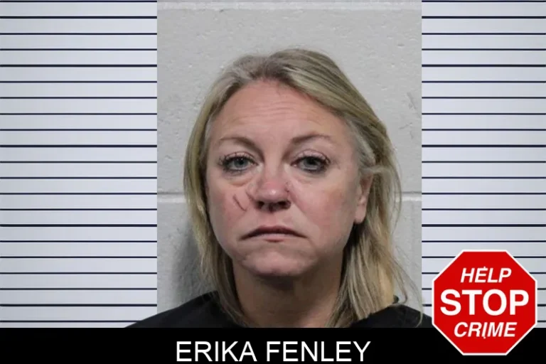 Erika Fenley mugshot – Habersham County , Georgia Erika Fenley