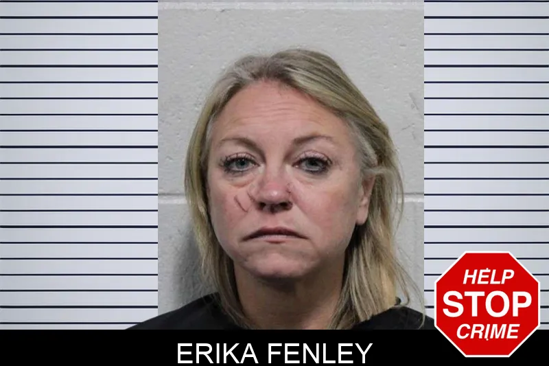 Erika Fenley Mugshots