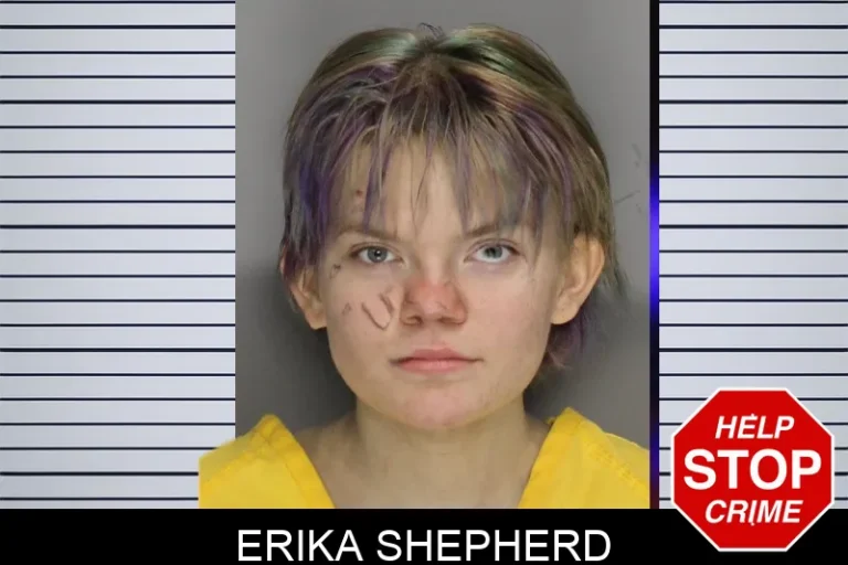 Erika Shepherd mugshot – Cobb County , Georgia Erika Shepherd