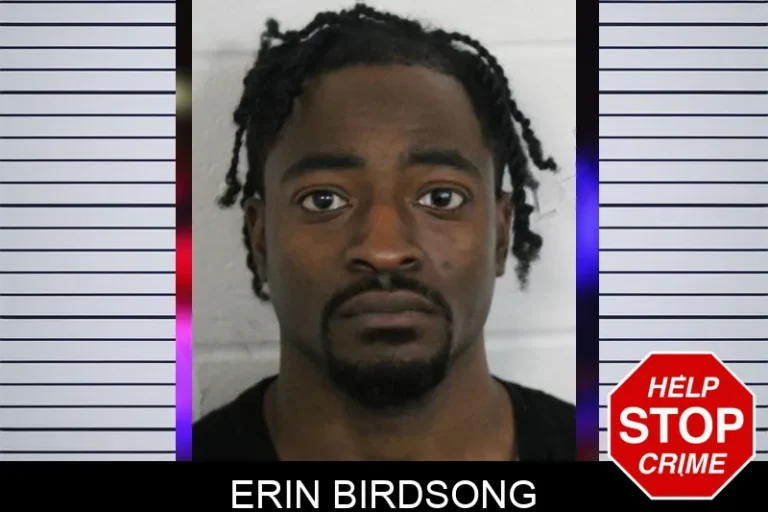 Erin Birdsong mugshot – Floyd County , Georgia Erin Birdsong