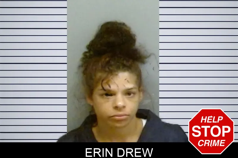 Erin Drew mugshot