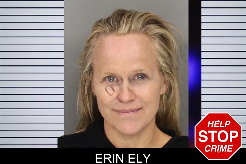 Erin Ely mugshot