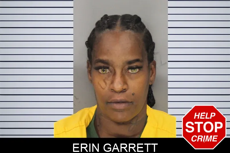 Erin Garrett mugshot – Cobb County , Georgia Erin Garrett mugshot