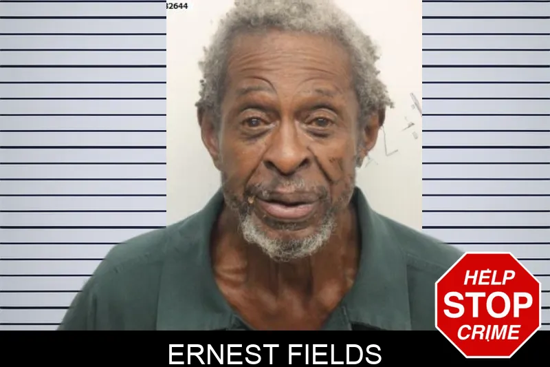 Ernest Fields mugshot – Chatham County , Georgia Ernest Fields mugshot