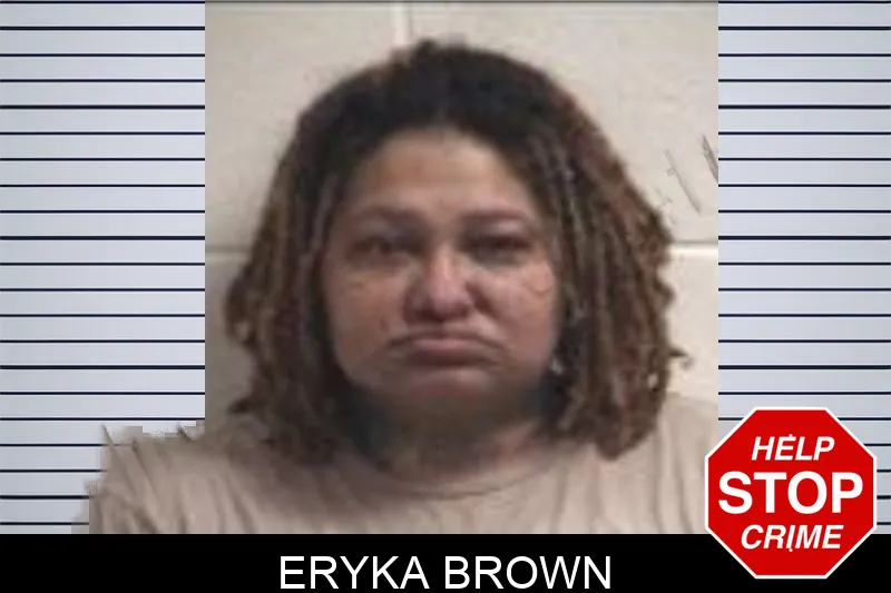 Eryka Brown Mugshots