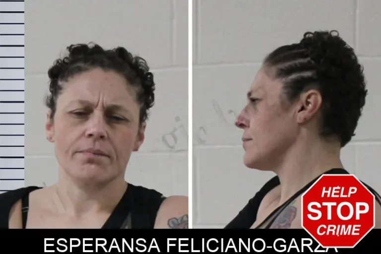 Esperansa Feliciano-Garza mugshot – Houston County , Georgia Esperansa Feliciano-Garza