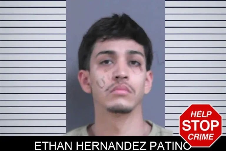 Ethan Hernandez Patino