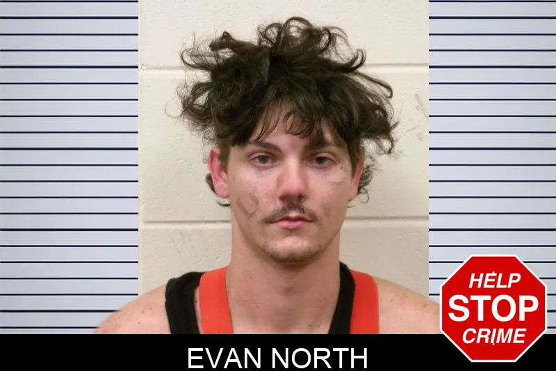 Evan North