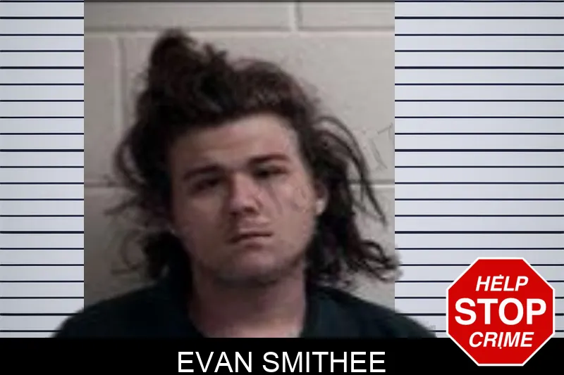 Evan Smithee mugshot – Henry County , Georgia Evan Smithee mugshot