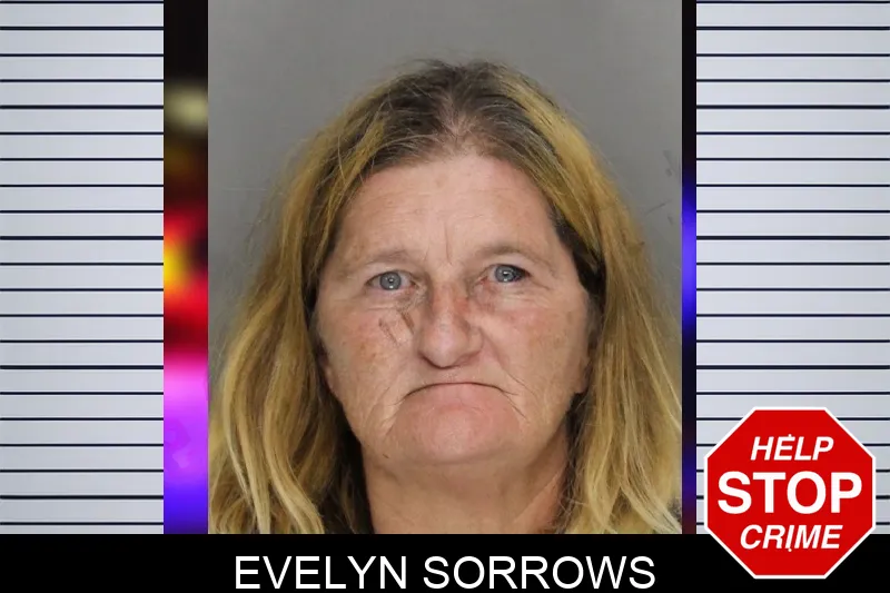Evelyn Sorrows mugshot – Cobb County , Georgia Evelyn Sorrows mugshot