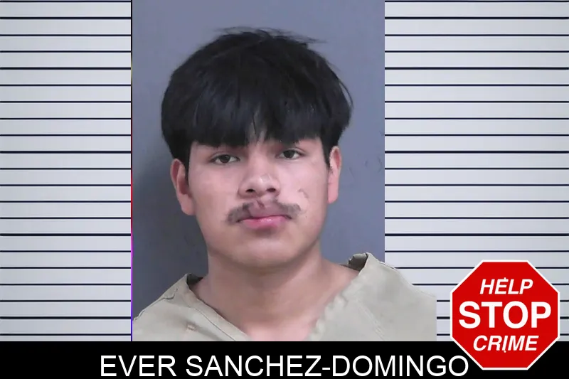 Ever Sanchez-Domingo Mugshots