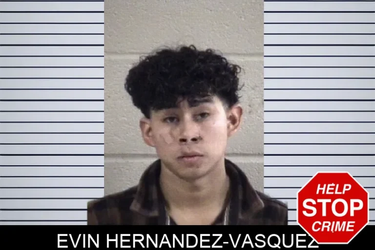 Evin Hernandez-Vasquez mugshot – Whitfield County , Georgia Evin Hernandez-Vasquez