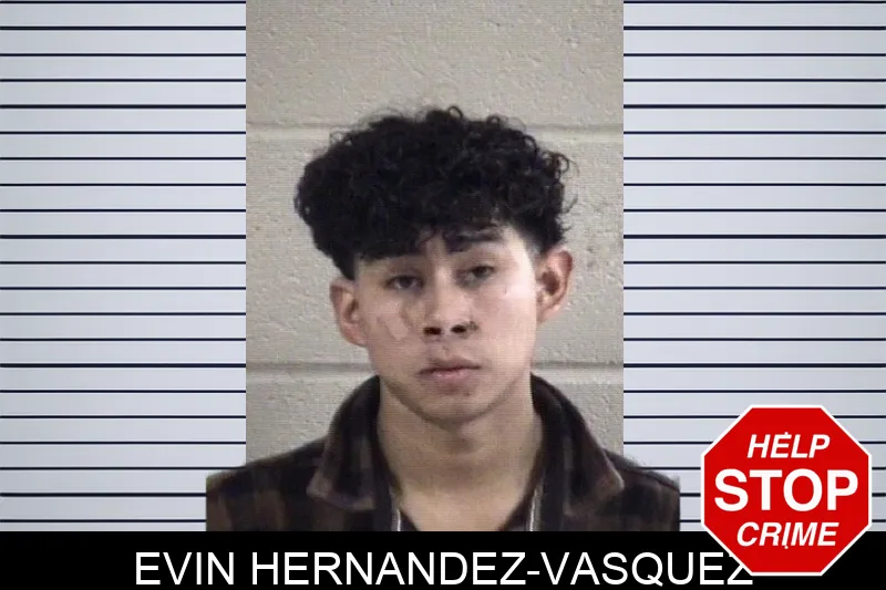Evin Hernandez-Vasquez Mugshots