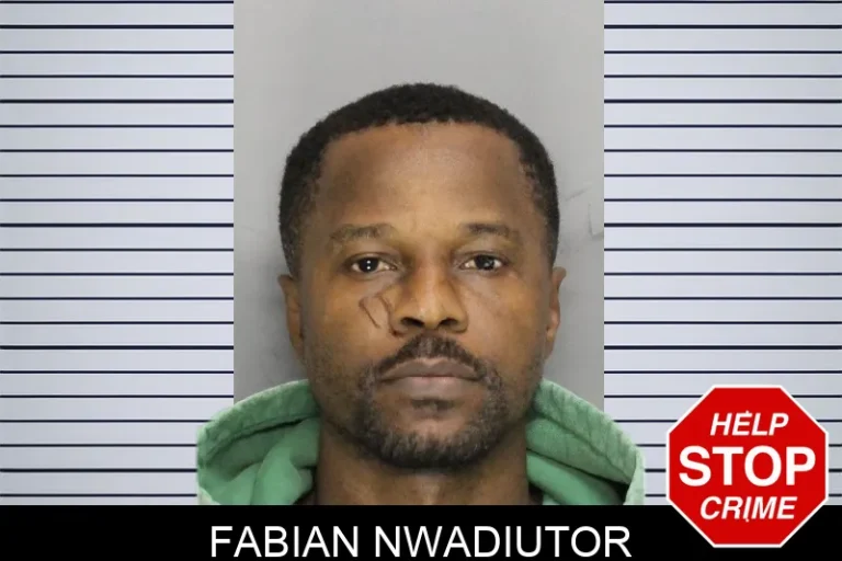 Fabian Nwadiutor mugshot – Cobb County , Georgia Fabian Nwadiutor