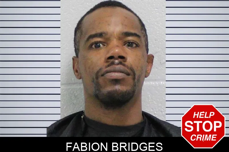 Fabion Bridges mugshot