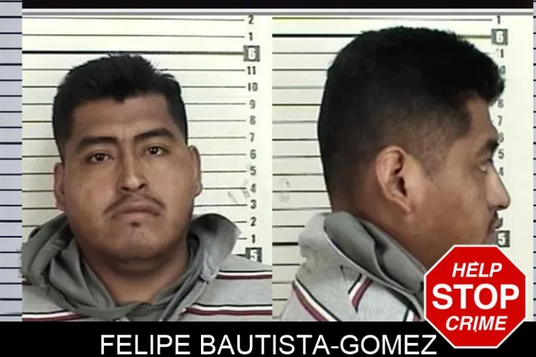 Felipe Bautista-Gomez