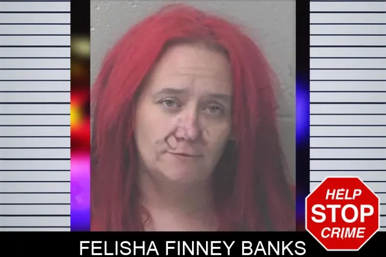 Felisha Finney Banks mugshot – Newton County , Georgia Felisha Finney Banks