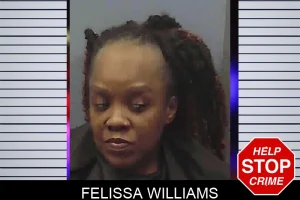 Felissa Williams mugshot