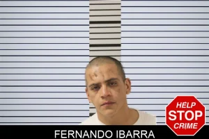 Fernando Ibarra mugshot