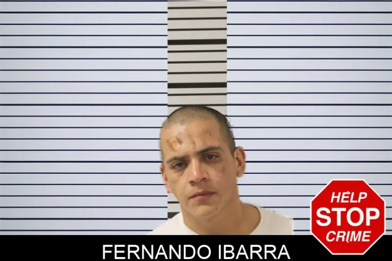 Fernando Ibarra