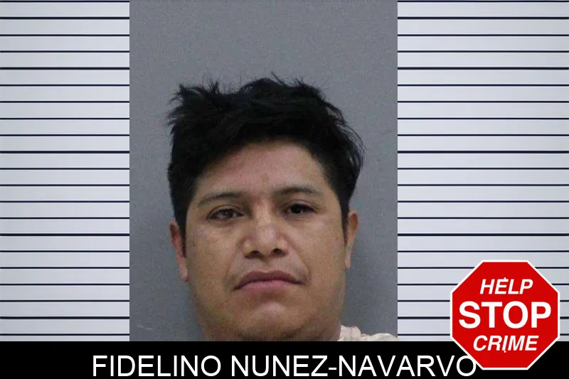 Fidelino Nunez-Navarvo