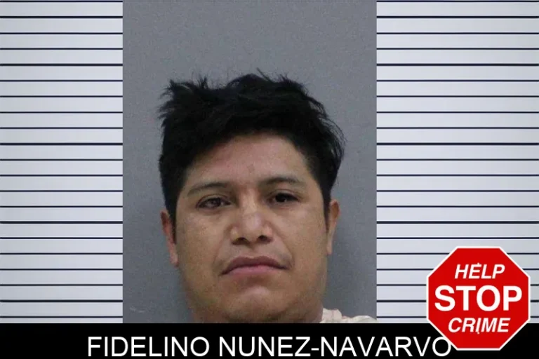 Fidelino Nunez-Navarvo