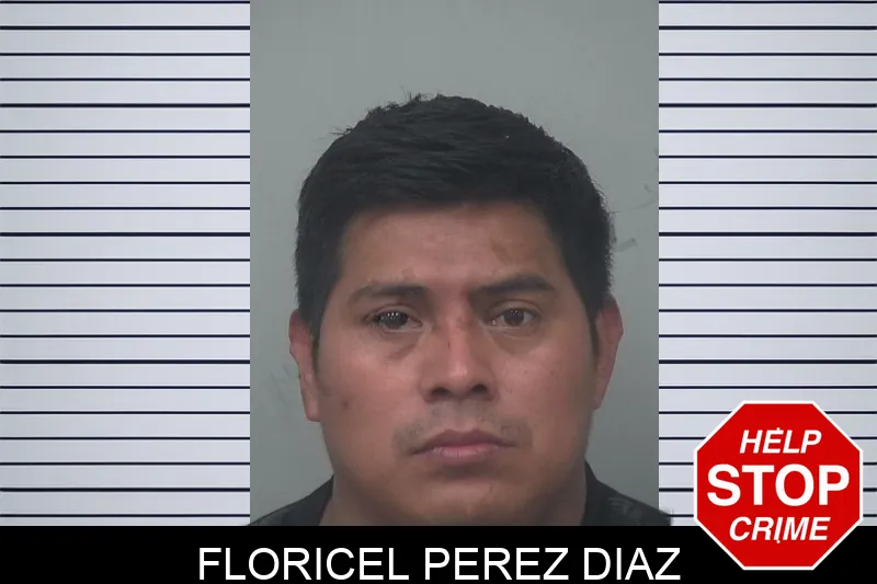 Floricel Perez Diaz mugshot