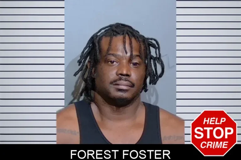 Forest Foster