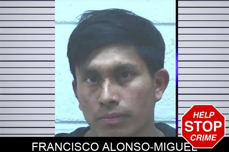 Francisco Alonso-Miguel