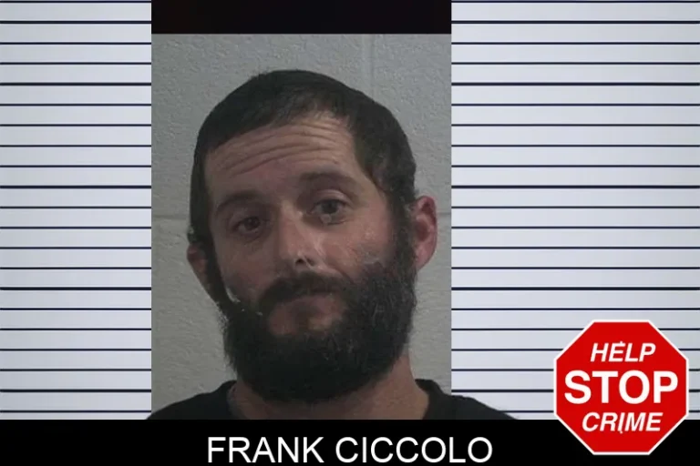 Frank Ciccolo