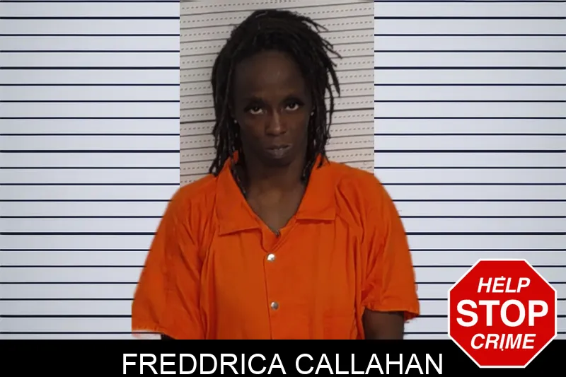 Freddrica Callahan Mugshots