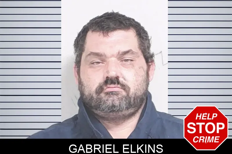 Gabriel Elkins mugshot