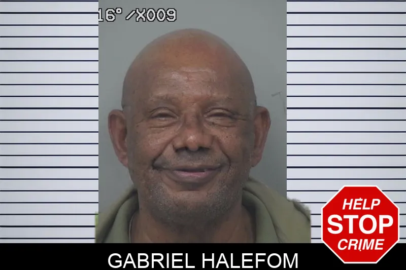 Gabriel Halefom mugshot – Gwinnett County , Georgia Gabriel Halefom mugshot