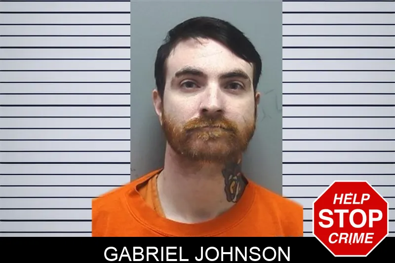 Gabriel Johnson mugshot – Cherokee County , Georgia Gabriel Johnson mugshot