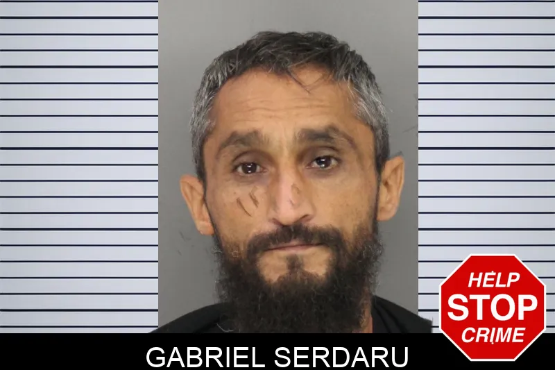 Gabriel Serdaru Mugshots