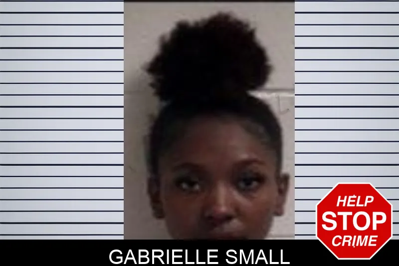 Gabrielle Small mugshot