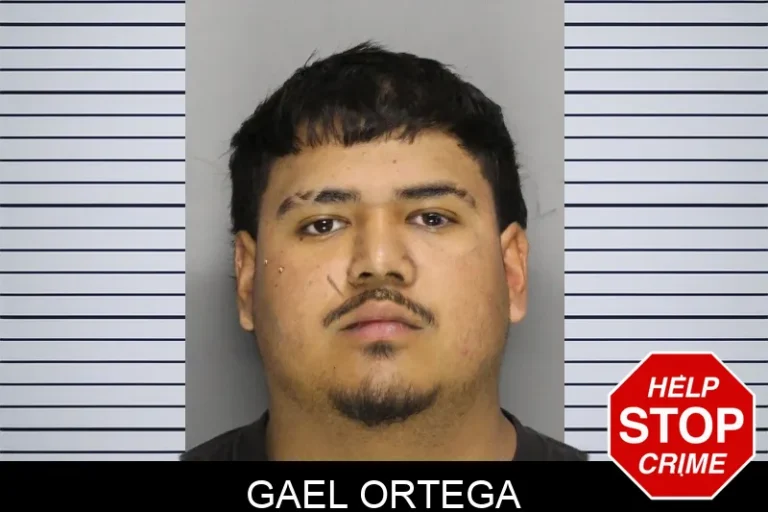 Gael Ortega mugshot – Cobb County , Georgia Gael Ortega
