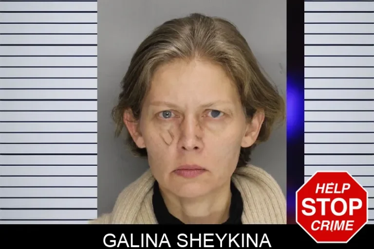 Galina Sheykina mugshot – Cobb County , Georgia Galina Sheykina