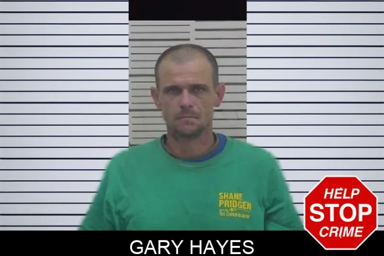 Gary Hayes