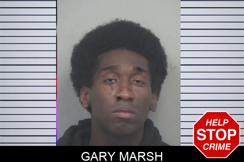 Gary Marsh mugshot – Gwinnett County , Georgia Gary Marsh mugshot