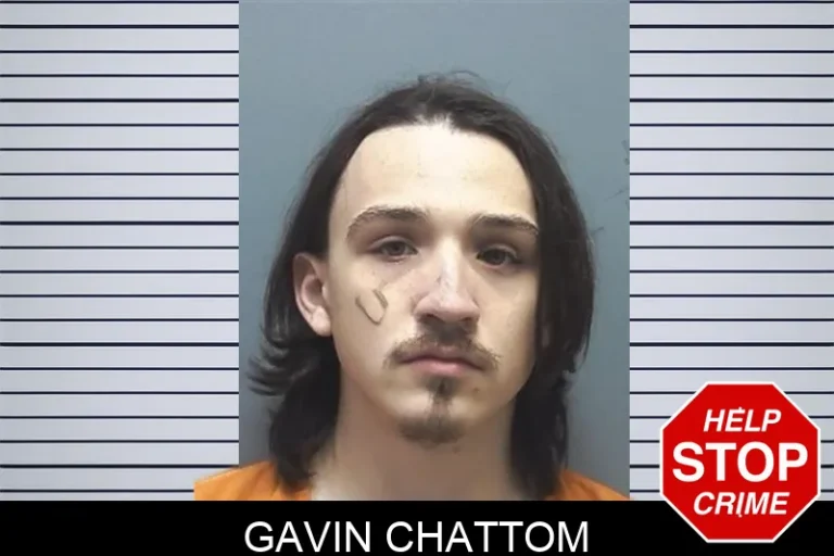 Gavin Chattom