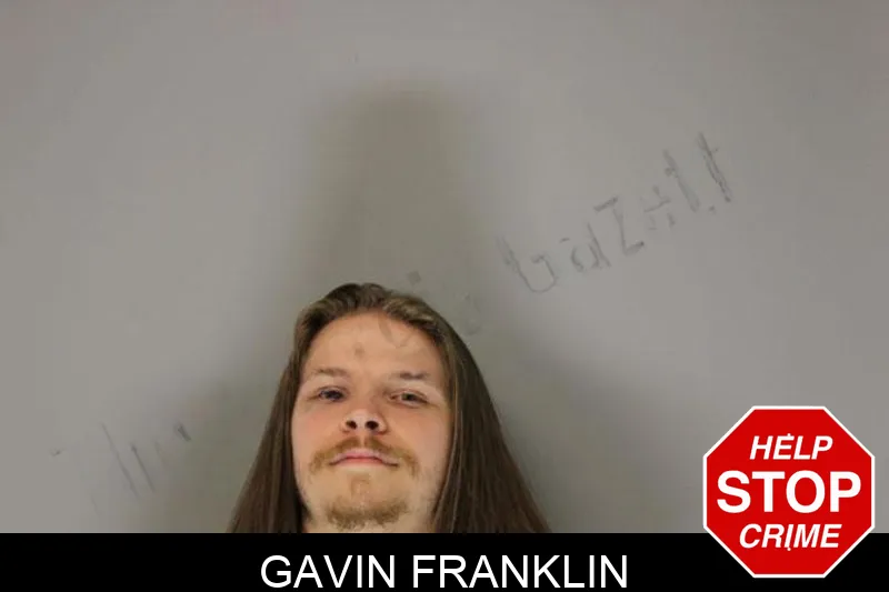 Gavin Franklin Mugshots
