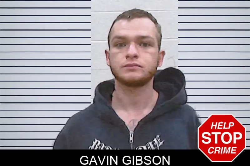 Gavin Gibson Mugshots