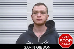 Gavin Gibson mugshot