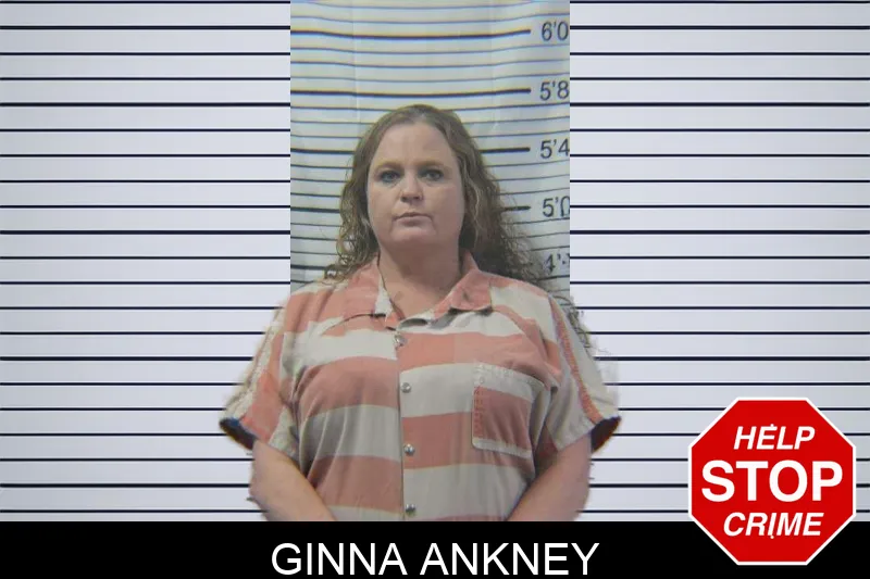 Ginna Ankney Mugshots