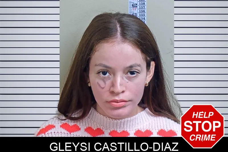 Gleysi Castillo-Diaz mugshot – Gwinnett County , Georgia Gleysi Castillo-Diaz mugshot