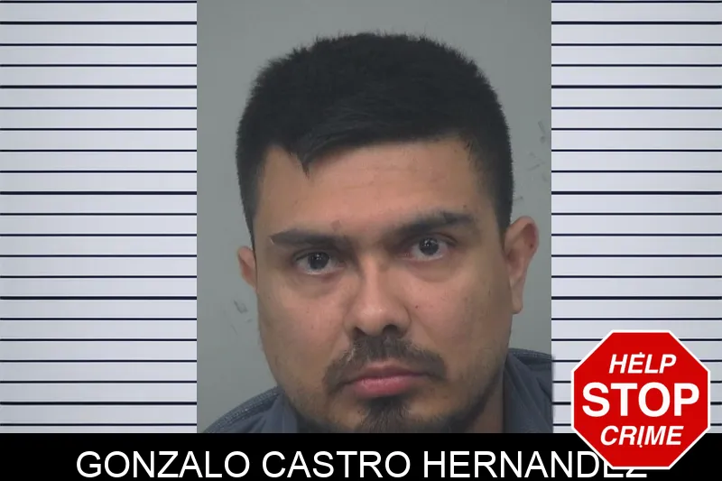Gonzalo Castro Hernandez mugshot